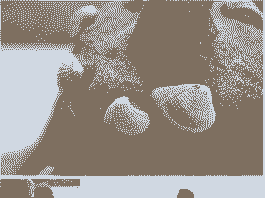 Izdelovanje Peščenega Gradu za Otroke