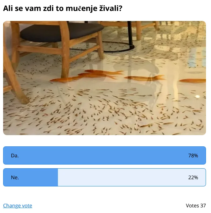 ribe, Kavarna, kjer po tleh plavajo ribe