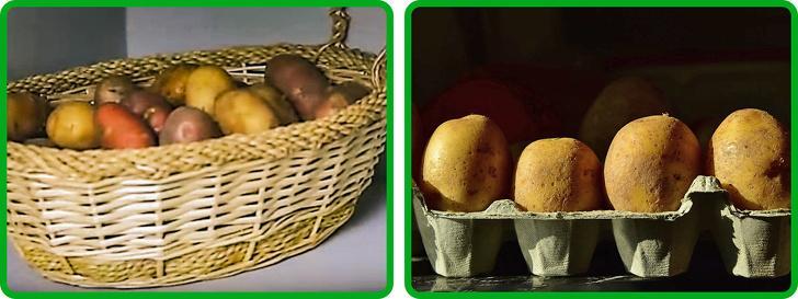Sadje in zelenjava, Triki, s katerimi podaljšate življenjsko dobo sadja in zelenjave