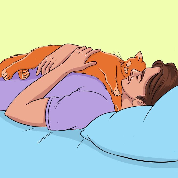 10 načinov s katerimi vam mačka pove, da vas ima rada