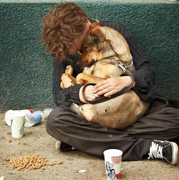 , Foto: Živali potrebujejo ljubezen