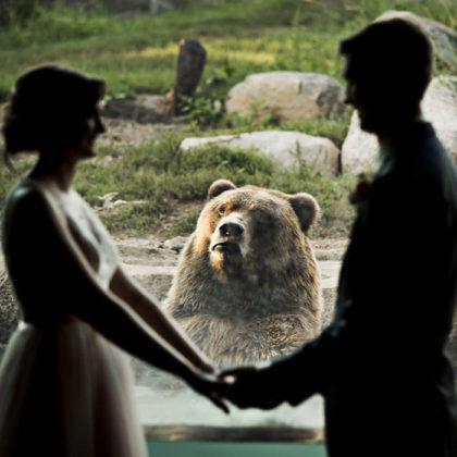 , Par se je poročil v ZOO-ju, reakcija medveda je neprecenljiva