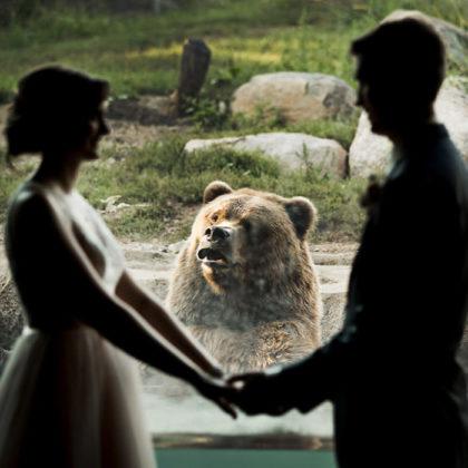 , Par se je poročil v ZOO-ju, reakcija medveda je neprecenljiva