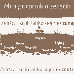 Nasveti in triki za vrtnarjenje, ki bi jih moral poznati vsak