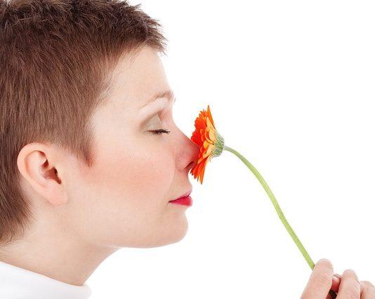 Adult Beauty Face Female Flower  - PublicDomainPictures / Pixabay
