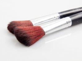 Beauty Brush Cosmetic Makeup  - endriqstudio / Pixabay