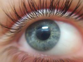 Eye Eyelashes Eyeball Blue Eyed  - lkbbb / Pixabay
