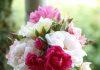 Rose Bouquet Flowers Nature  - AidylArtisan / Pixabay