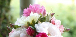 Rose Bouquet Flowers Nature  - AidylArtisan / Pixabay