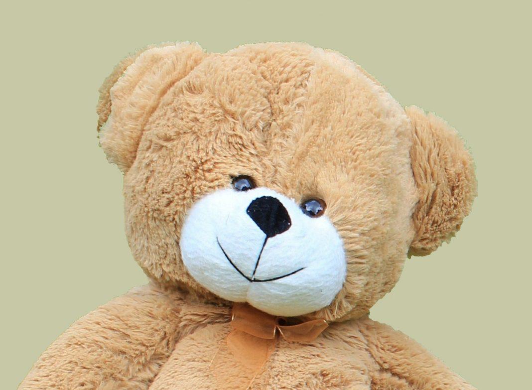 Teddy Bear Cute Soft Toy Fluffy  - bluebudgie / Pixabay