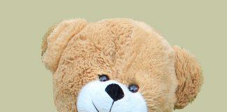 Teddy Bear Cute Soft Toy Fluffy  - bluebudgie / Pixabay