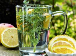 Tee Herbs Chamomile Fruit Lemon  - silviarita / Pixabay