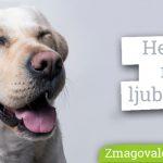 Ideje tega tedna (01.11. – 08.11.2020), ki so vzele sapo