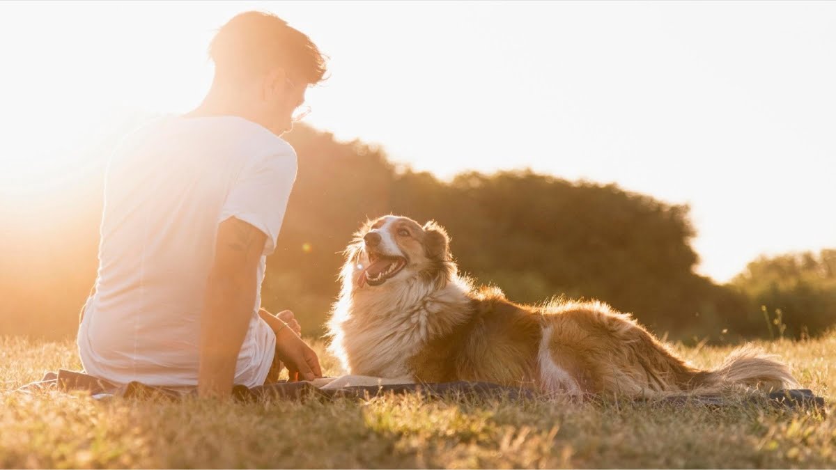 , Kako poskrbeti, da se bo vaš pes počutil ljubljenega