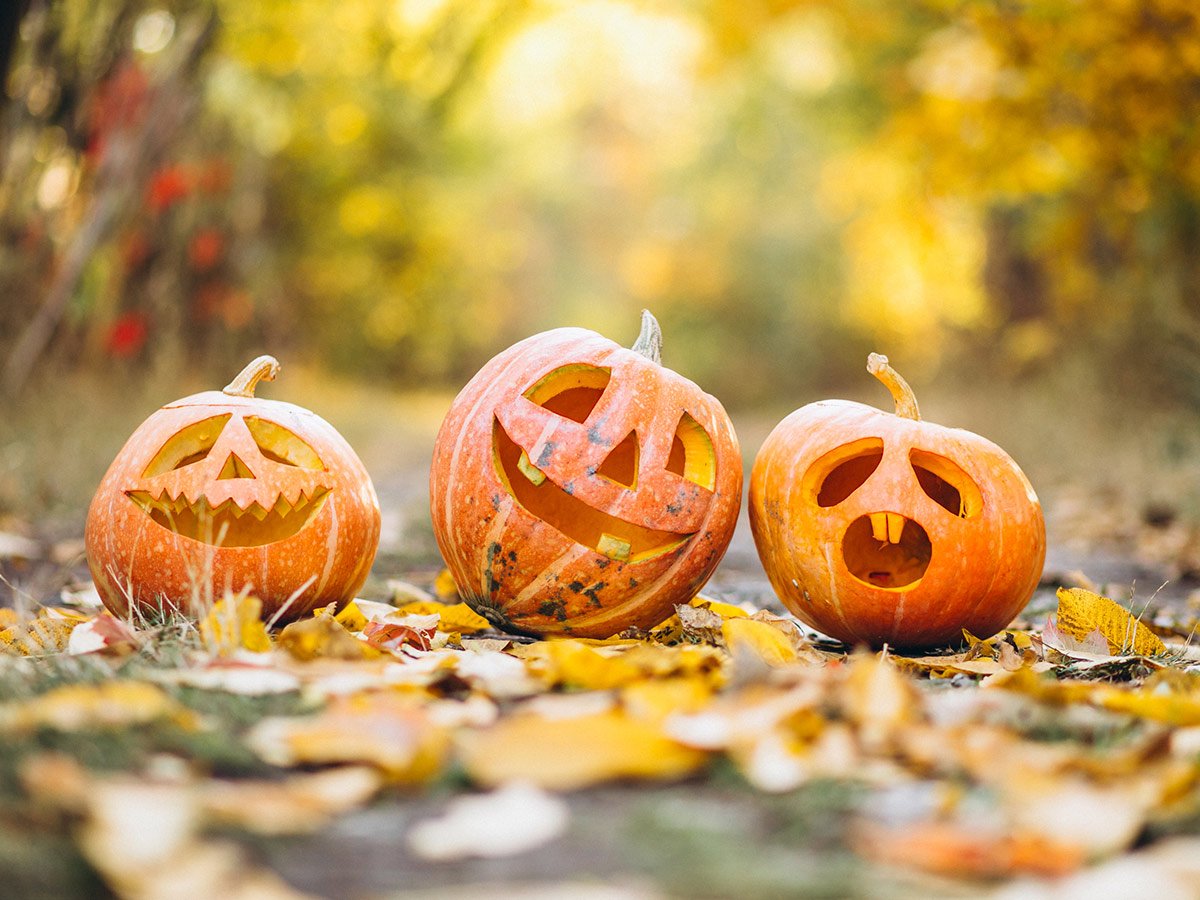 , Kako otroku pričarati pravo Halloween vzdušje?