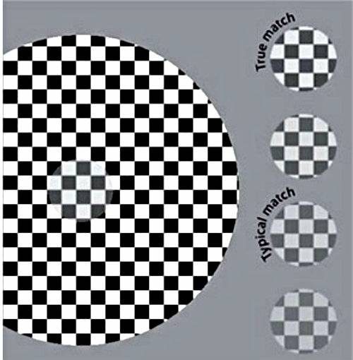 , Test: če lahko vidite skozi te optične iluzije, imate morda lastnosti shizofrenika