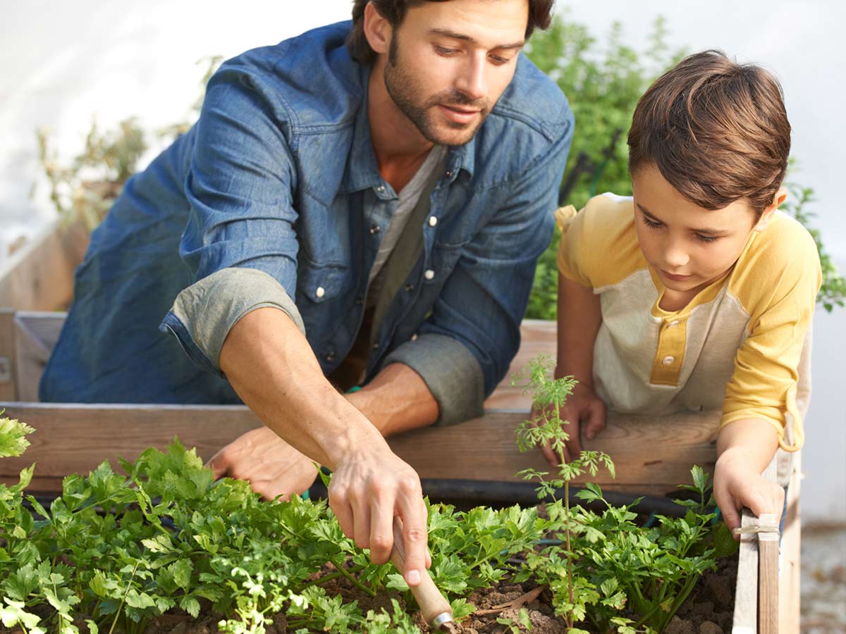 , Vrtnarjenje z otroki (kako otroke navdušiti za vrtnarjenje)
