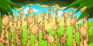 najdite kačo skrito med žirafami