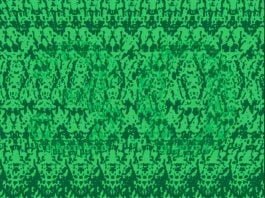 optična iluzija skrita številka