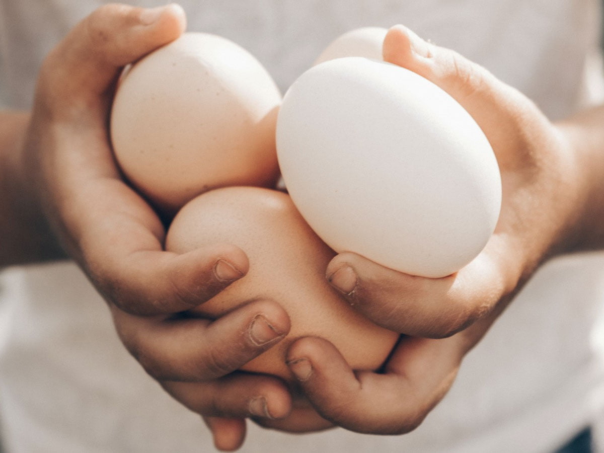 Ali lahko jemo jajčne lupine? Odgovor je presenetljiv