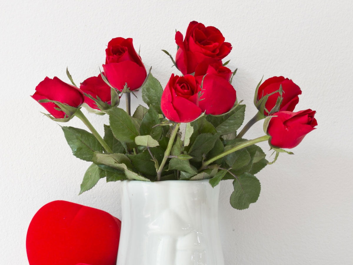 5 načinov, s katerimi boste podaljšali obstojnost vrtnic v vazi