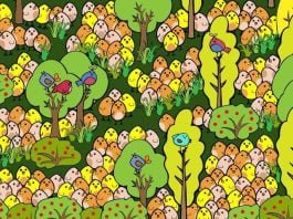 Kje je velikonočno jajce? Vir: PlayBuzz,com