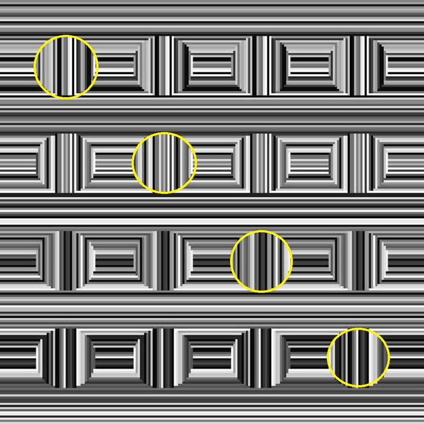 , Optična iluzija: Samo tisti z visokim IQ-jem bodo uspeli najti 16 krogov
