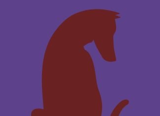 Nenavadna optična iluzija: Razvozlajte skrivnost in preštejte živali optična iluzija