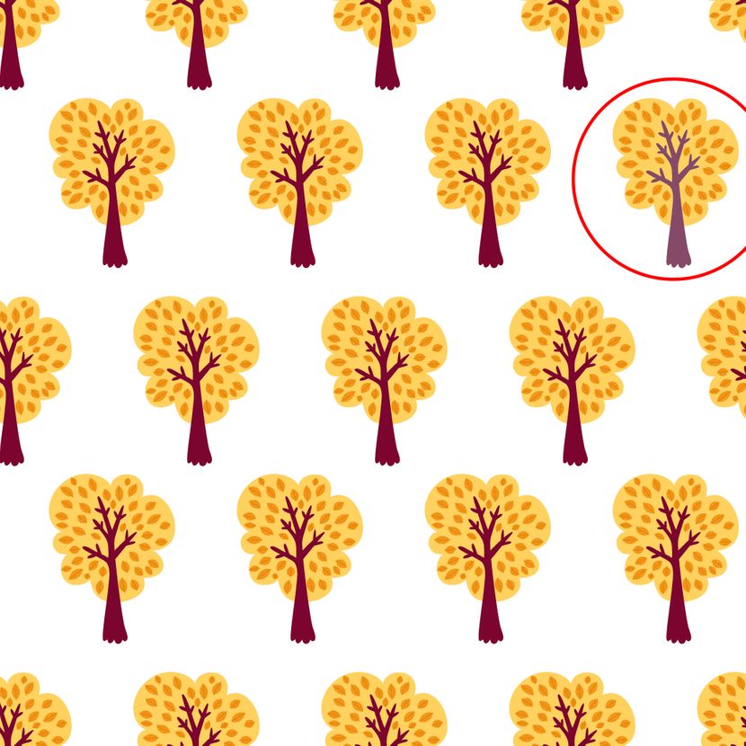 Uganka, ki zbega mnoge: Najdite drugačno drevo od ostalih v 10 sekundah