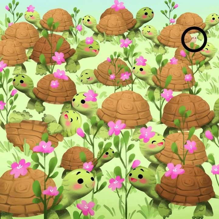 , Optična iluzija: Ali lahko v 7 sekundah opazite polža med želvami na sliki?