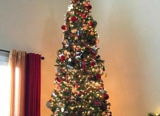 mačka optična iluzija