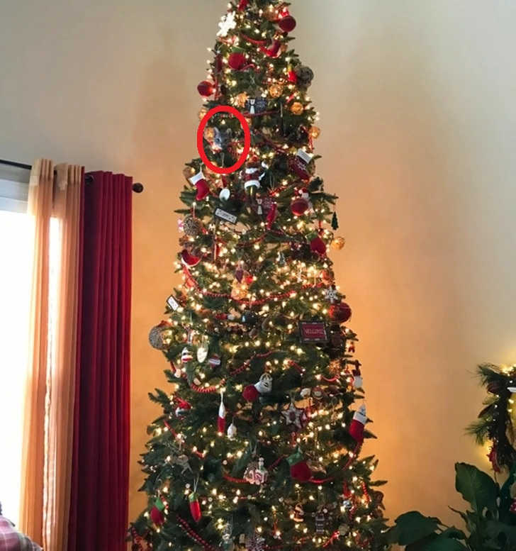 Optična iluzija: Imate oči sokola, če v 5 sekundah najdete mačko na božični dekoraciji!