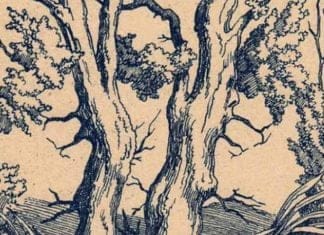 Optična iluzija: Vam uspe v nekaj sekundah najti obraza dveh bogov in človeka?