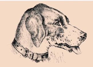 optična-iluzija-človek-na-sliki