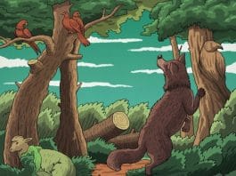 žival optična iluzija