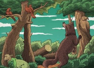 Optična iluzija: Vam uspe v 10 sekundah najti žival, ki je zelo dobro skrita? žival optična iluzija