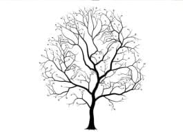 drevo-optična-iluzija