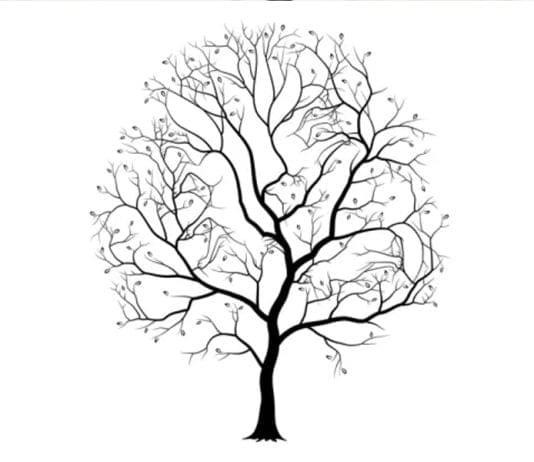 drevo-optična-iluzija