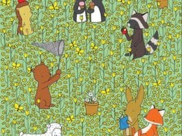 optična-iluzija-čebela