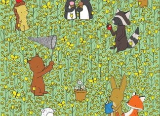 Optična iluzija: Na sliki se skriva čebela, ki jo le redki najdejo. Ste med njimi? optična-iluzija-čebela