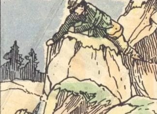 Optična iluzija: Vsi lahko vidijo plezalca – vendar ste med 1 % najboljših, če lahko opazite orla optična-iluzija