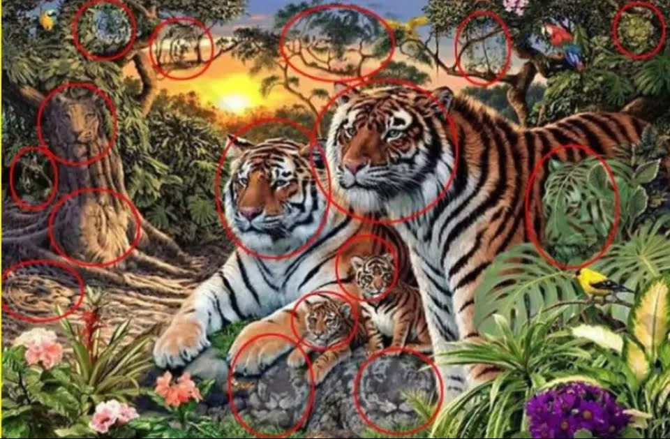 Optična iluzija: 4 tigre vidimo vsi, kaj pa preostalih 12? Jih najdete na sliki?