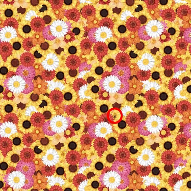, Optična iluzija: Na sliki med polno rožami se skriva čebela. Jo lahko najdete?