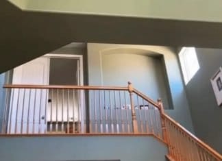 Optična iluzija: Imate popoln vid, če v nekaj sekundah najdete skrito mačko optična-iluzija