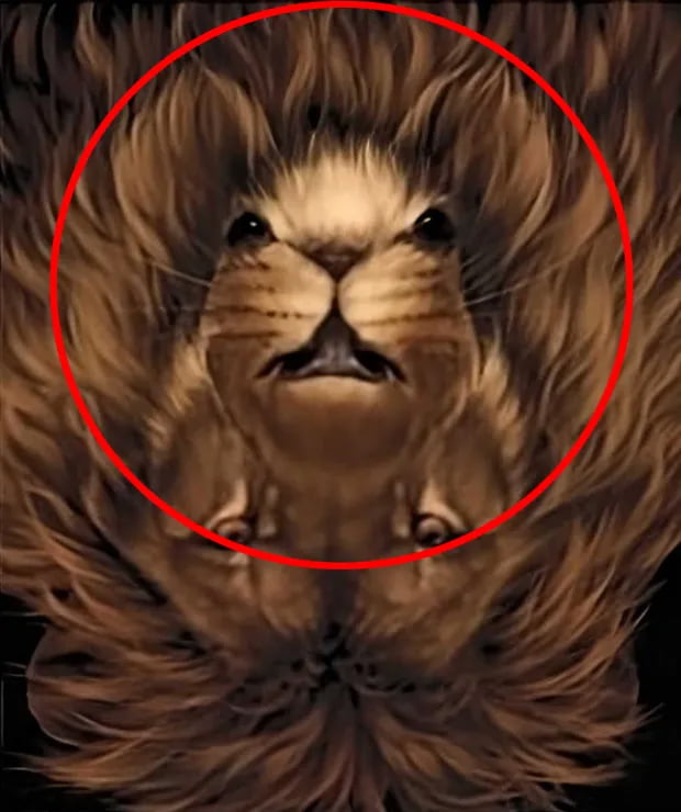 Optična iluzija: Vsi vidimo leva, kaj pa drugo žival? Dokažite, da imate visok IQ