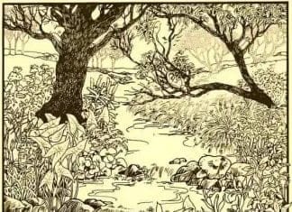 Optična iluzija: Na starinski sliki se skriva riba, pa je skoraj nihče ne najde, jo boste vi? riba-optična-iluzija