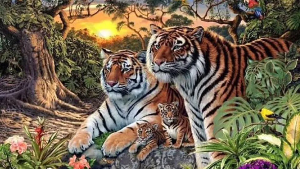 , Optična iluzija: 4 tigre vidimo vsi, kaj pa preostalih 12? Jih najdete na sliki?