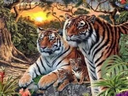 optična iluzija tiger