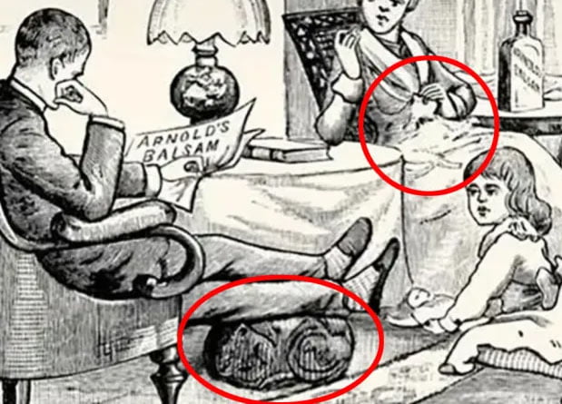 , Optična iluzija: Na sliki sta 2 mački, samo inteligentni ljudje ju vidijo