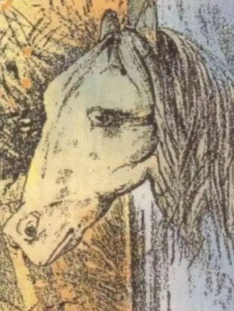 Optična iluzija: Stavimo, da ne najdete konja na sliki v 10 sekundah